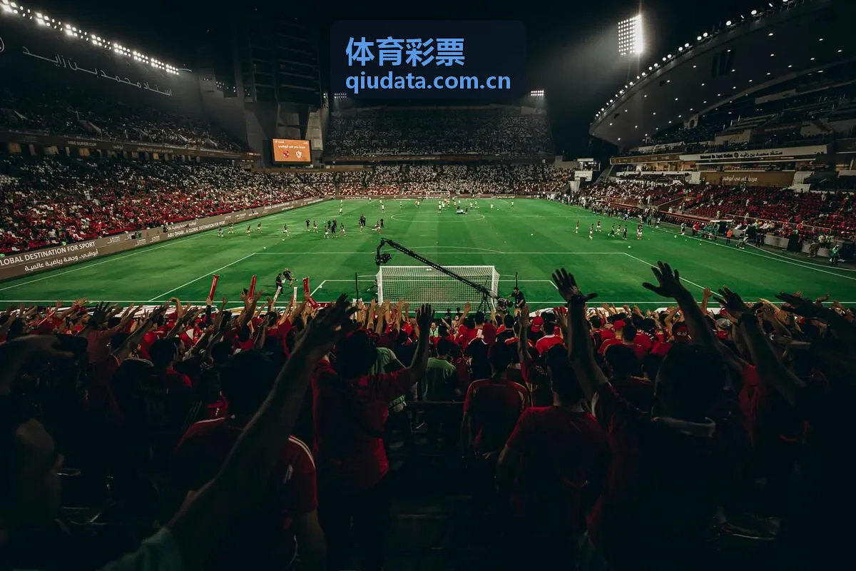 体育彩票支持体育文化与青少年运动